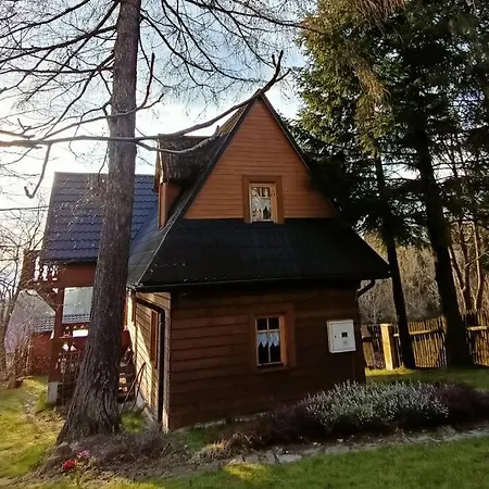 Ludwikowka Pod Luboniem, Stu-letni W Gorach